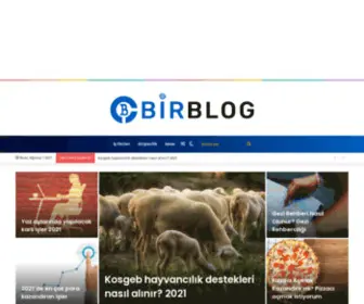 Birblog.co(İş Fikirleri ve Blog Sitesi) Screenshot