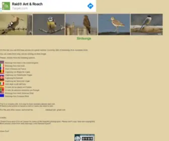 Bird-Songs.com(Bird songs bird sounds europe america) Screenshot