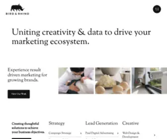 Birdandrhino.com(BIRD & RHINO) Screenshot