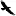 Birdclanmessenger.com Favicon