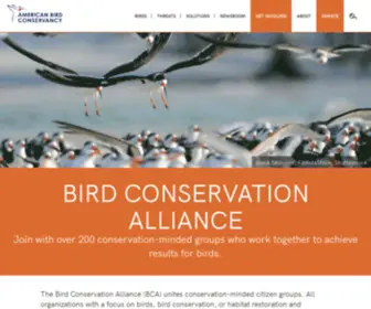 Birdconservationalliance.org(Bird Conservation Alliance) Screenshot