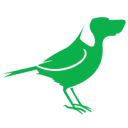 Birddog.tv Logo