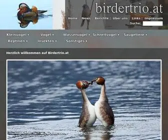 Birdertrio.at(Birdertrio) Screenshot