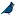 Birdever.com Favicon