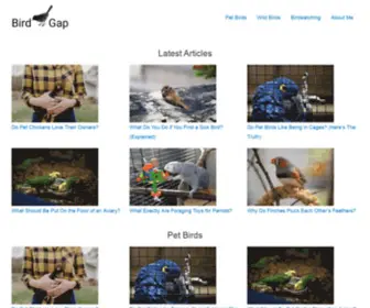 Birdgap.com(Bird Gap) Screenshot