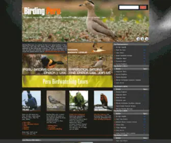 Birdingperu.com(Birding Peru) Screenshot