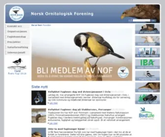 Birdlife.no(BirdLife Norge) Screenshot