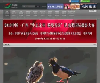 Birdnet.cn(鸟网) Screenshot