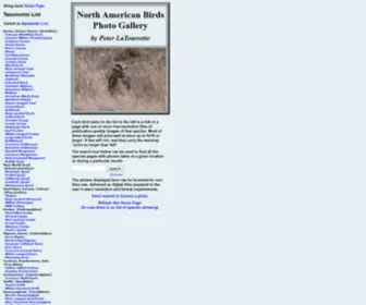 Birdphotography.com(North American Bird Photography Gallery) Screenshot