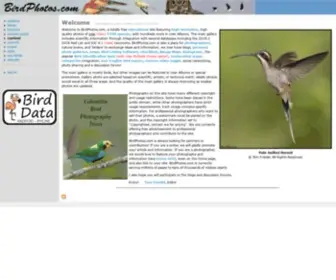 Birdphotos.com(Birdphotos) Screenshot