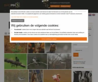 Birdpix.nl(Vogelfoto's online en vogelfotografie site) Screenshot