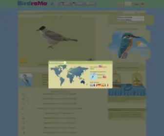 Birdrama.com(Bird Games) Screenshot