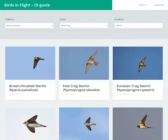 Birds-IN-Flight.net(ID guide) Screenshot