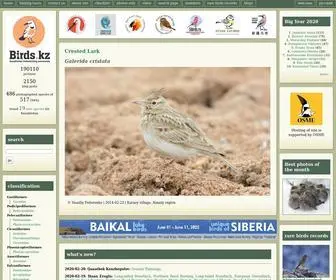 Birds.kz(Птицы Казахстана) Screenshot