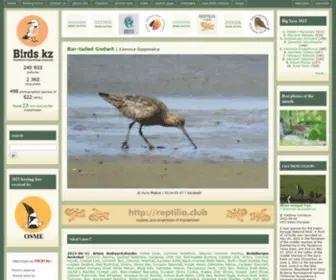 Birds.watch(Birds of Kazakhstan) Screenshot
