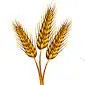 Birdsallgrainandseed.com Favicon