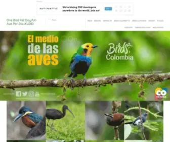 Birdscolombia.com(#OneBirdPerDay #UnAvePorDía) Screenshot