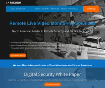 Birdseyesecurity.com(Birdseye Security) Screenshot