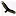 Birdseyeviewgis.com Favicon
