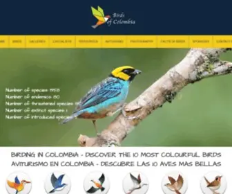 Birdsofcolombia.com(Birds of Colombia) Screenshot