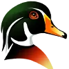 Birdsstudio.ru Favicon