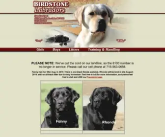 Birdstonelabradors.com(Birdstone Labradors) Screenshot