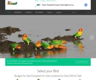 Birdszoo.com(Parrot Breeding Tips) Screenshot