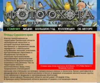 Birdwatcher.ru(Birdwatcher) Screenshot