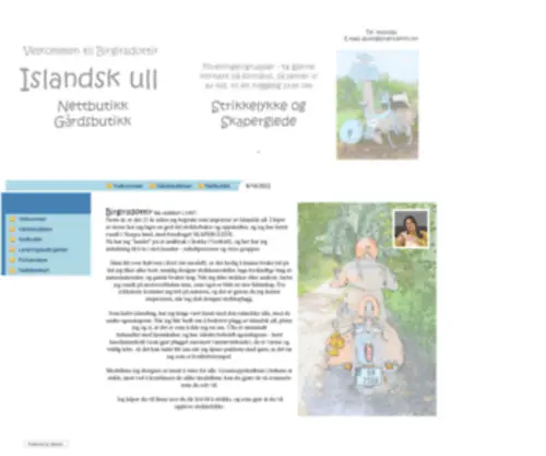 Birgirsdottir.no(Islandsk ull) Screenshot
