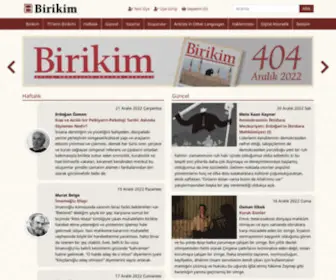 Birikimdergisi.com(Yayınları) Screenshot