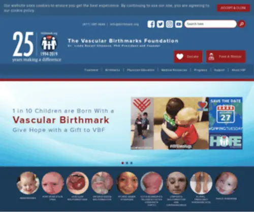 Birthmarks.com(The Vascular Birthmarks Foundation) Screenshot