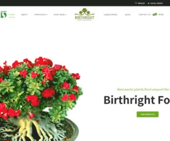 Birthrightforall.com(Buy Indoor Plants Online in India) Screenshot