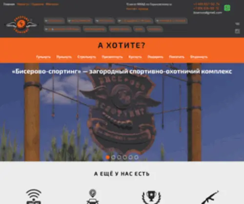 Biserovo-Sporting.ru(Загородный) Screenshot
