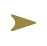 Bishsurbana.com Favicon