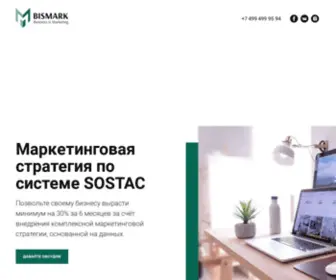 Bismark.pro(Стратегия маркетинга для малого и среднего бизнеса) Screenshot