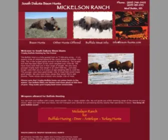 Bison-Hunts.com(Bison Hunts) Screenshot