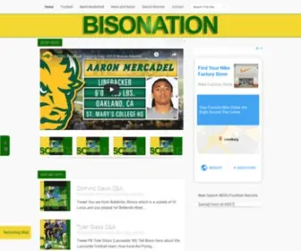 Bisonation.info(Aromatherapy Tips) Screenshot