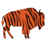 Bisontiger.com Favicon