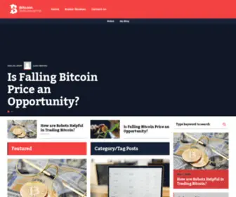 Bitcoinreferenceline.com(BitcoinReferenceLine) Screenshot