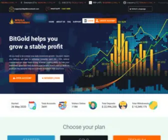 Bitgoldinvestment.com(Investing in Bitcoin Mining) Screenshot