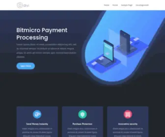 Bitmicro.io(Micro Payments Manager) Screenshot