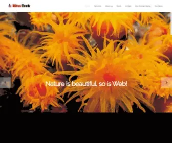 Bitss.tech(Bitss Techniques) Screenshot
