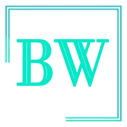 Bittyweb.com Logo
