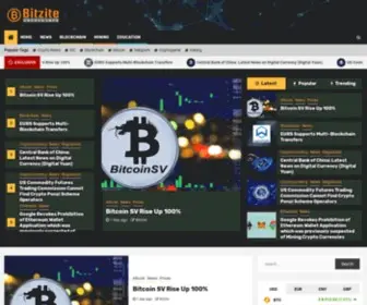 Bitzite.com(Your Business Information) Screenshot