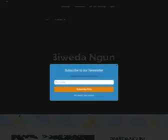 Biweda.co.za(The Biweda Nguni Guest Lodge in Mkuze) Screenshot