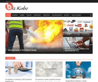 Biz-Kubo.net(Startup Ideas and Business Strategies for Professionals Worldwide) Screenshot