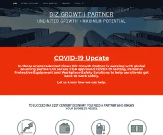 Bizgrowthpartner.com(Biz Growth Partner) Screenshot