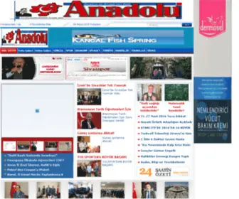 Bizimsivas.com(Bizim Sivas Gazetesi) Screenshot