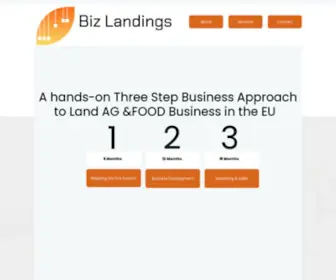 Bizlandings.com(bizlandings) Screenshot