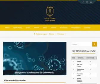 Biznesliga-Silesia.pl(Sportowa Liga Firm) Screenshot